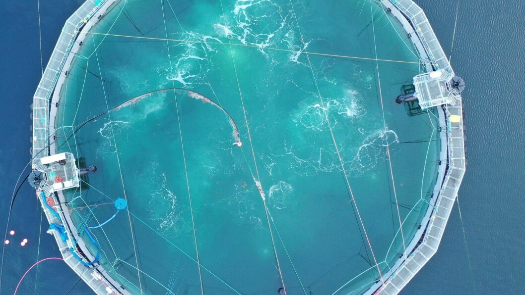 En illustrasjon av typen SCCS som brukes av Cermaq Canada. Den har et nett innelukket i en ugjennomtrengelig presenningspose, og henter vann fra dypet. Foto: Fiizk.