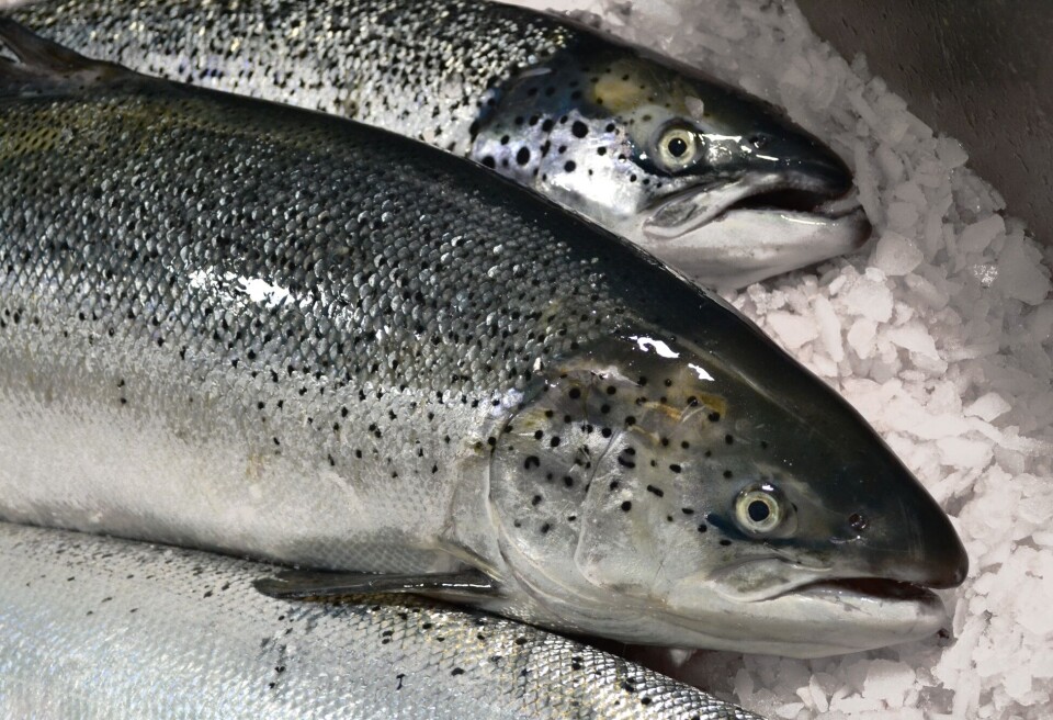 Illustrasjon av slakteri. Foto: Cermaq.