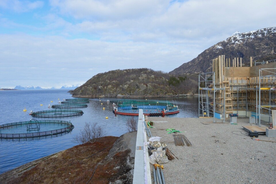 Visningsenteret Artic Salmon Center skal snart bygges. Foto: Cermaq