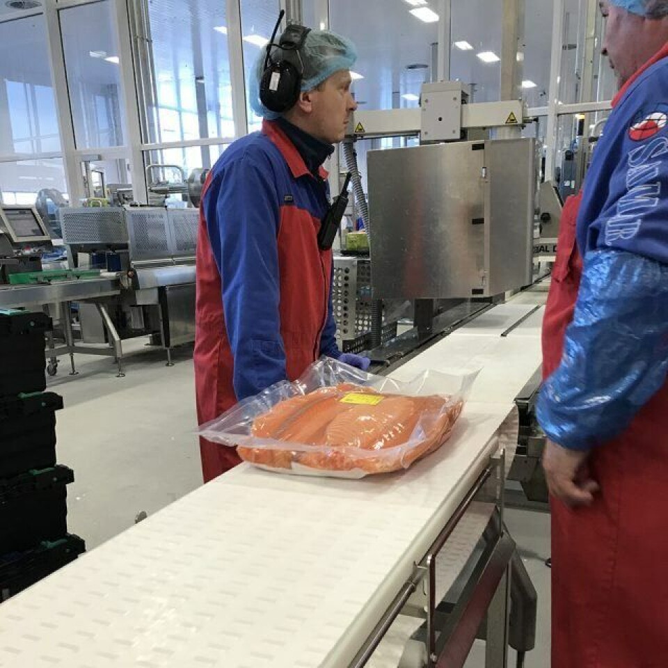 Fra prosesslinja hos SalMar der laksefileten i Big batch-pakker nå har tynnere plastfilmer, og medfører en årlig besparelse på 27 tonn plast. Foto: Nofima. Fra prosesslinja hos SalMar der laksefileten i Big batch-pakker nå har tynnere plastfilmer, og medfører en årlig besparelse på 27 tonn plast. Foto: Nofima.