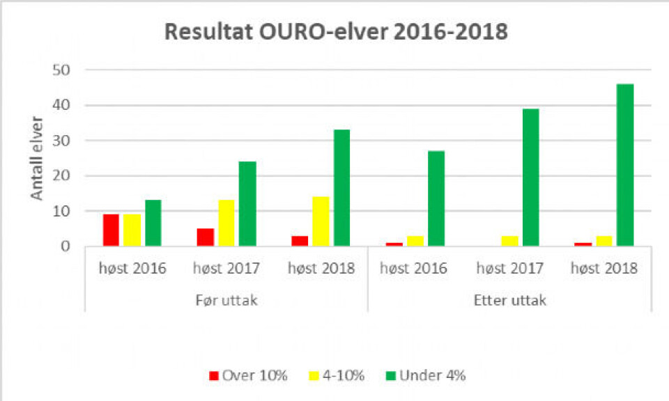 Styreleder i OURO Roar Paulsen forteller at andelen rømt oppdrettslaks ble redusert til under fire prosent i de fleste elver etter uttak. Tabellen: OURO