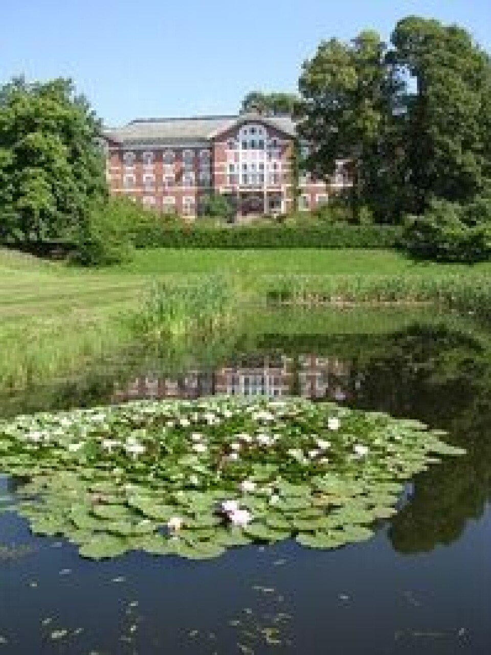 UMB_storplenen», FôrTek ligger på idylliske Campus Ås, som også er kalt «Norges Cambridge». Foto: Håkon Sparre, UMB