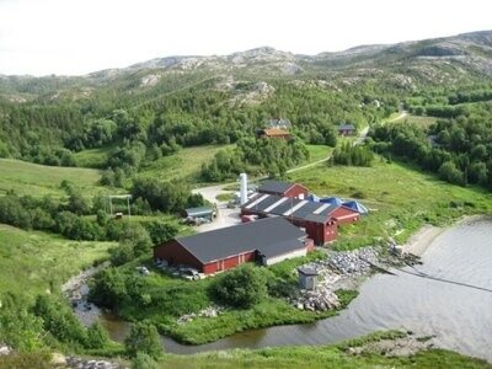 Politiet aksjonerte både ved Statland Settefisk og ved hovedkontoret til moderselskapet Namdal Settefisk. Begge ligger i Namsos kommune. Foto: Namdal Settefisk