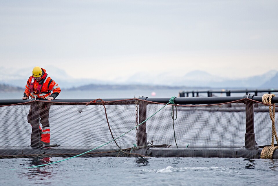 Illustrasjonsbilde. Cermaqs sjøanlegg. Foto: Cermaq/Karoline O. A. Pettersen.