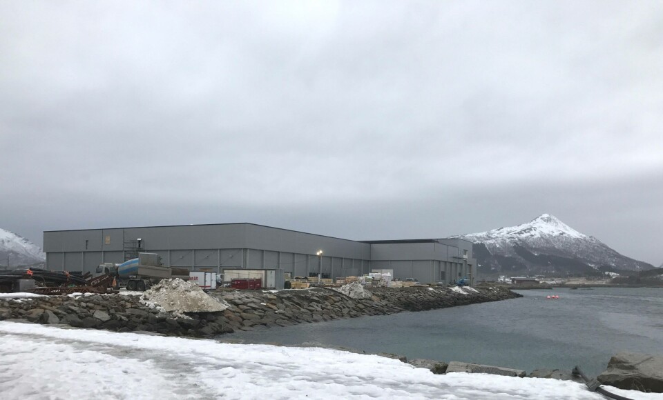 Cermaq-slakteriet på Storskjæret tar i disse daget form. Foto: Tord Dreyer/Cermaq. Cermaq-slakteriet på Storskjæret tar i disse daget form. Foto: Tord Dreyer/Cermaq.