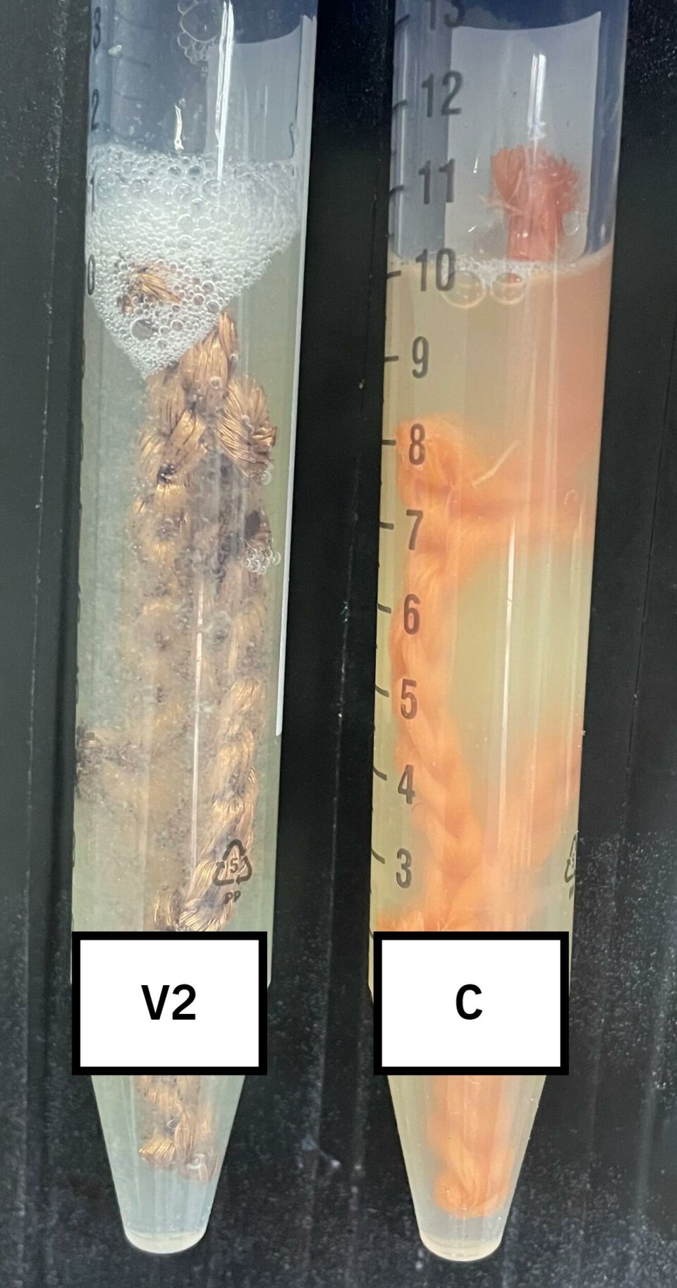Figur 1: Bakteriekulturer dyrket i glass med V2 fibre (V2) og HDPE kontroll fibre (C). Figur 1: Bakteriekulturer dyrket i glass med V2 fibre (V2) og HDPE kontroll fibre (C).