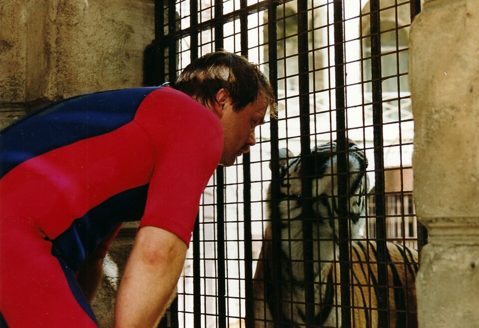 Mann mot tiger. Kurt Oddekalv fremstod ofte uredd, men var langt fra fryktløs. Her fra innspillingen av en episode av Fangene på fortet i 1993. Foto: Pål Mugaas Jensen