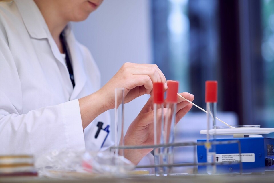 Fra Veterinærinstituttets laboratorie. Foto: Eivind Røhne.