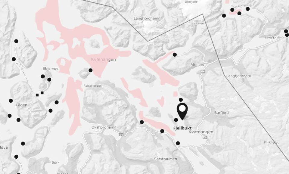 På lokalitet Fjellbukt i Kvænangen kommune i Troms fylke mistenker Fiskeridirektoratetet ILA-utbrudd. Foto: Mowi