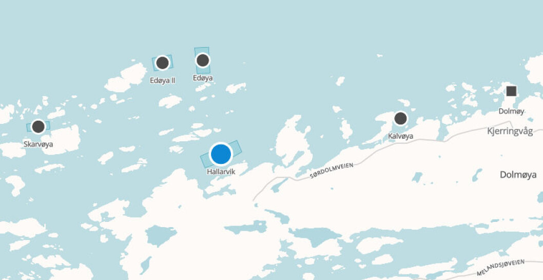Lokalitet Hallarvik. Kart hentet fra Barentswatch Lokalitet Hallarvik. Kart hentet fra Barentswatch