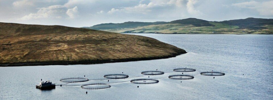 Griegs operasjoner på Shetland har vært trøblete for selskapet. Nå er de i samtaler om salg. Foto: GSF