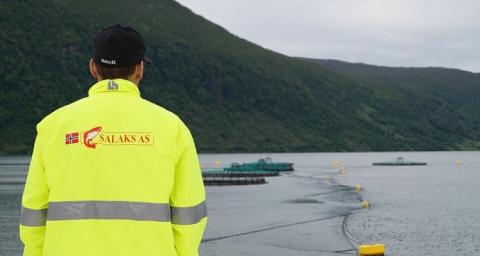 Det er varslet mistanke om ILA på lokalitet Bjørga. Foto: Salaks
