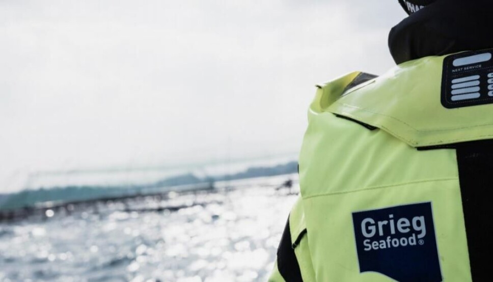 Grieg Seafood sine kostnader har økt i Rogaland, men gått noe ned i Finnmark.