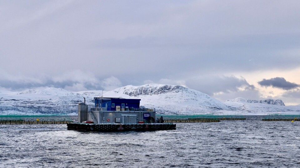 Det er mistanke om ILA på lokalitet Stangnes i Akkarfjorden ved Kvaløya. Foto: AKVA group