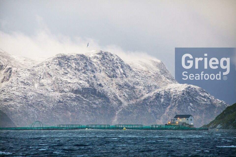Produksjonskostnadene oversteg salgsinntektene for Grieg i fjerdekvartal 2020. Foto: GSF Produksjonskostnadene oversteg salgsinntektene for Grieg i fjerdekvartal 2020. Foto: GSF