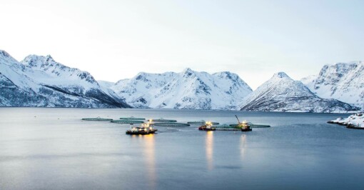 Grieg Seafood Finnmark fikk bot av Fiskeridirektoratet