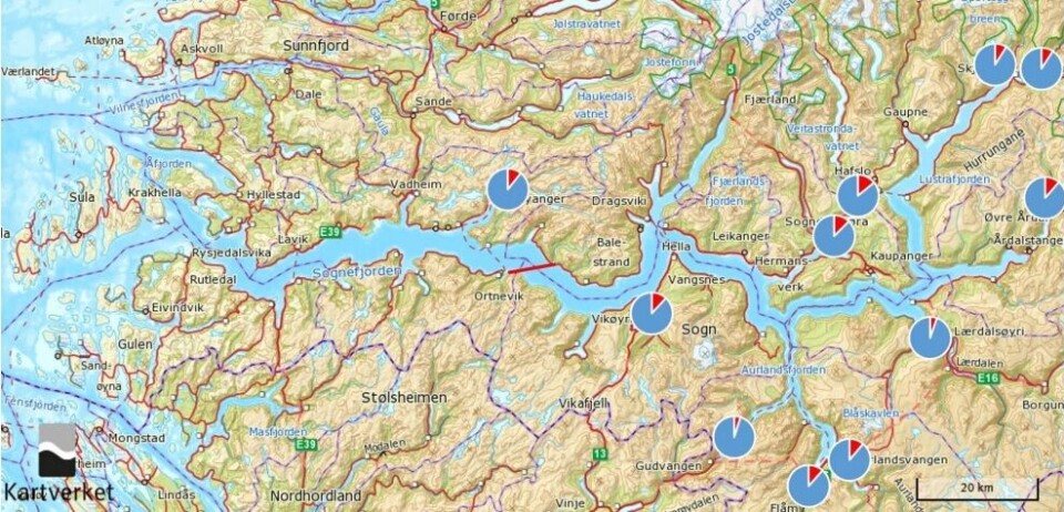 Nina har analysert innkrysning av rømt oppdrettslaks i 11 lakseelver i Sognefjorden.