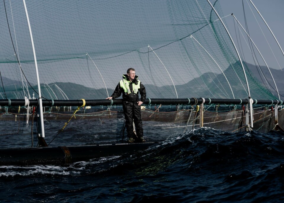 Grieg Seafood oppfordrer norske og internasjonale selskaper til å delta i dugnaden for å stoppe avskogingen i Brasilianske Cerradoen Foto: Tommy Ellingsen