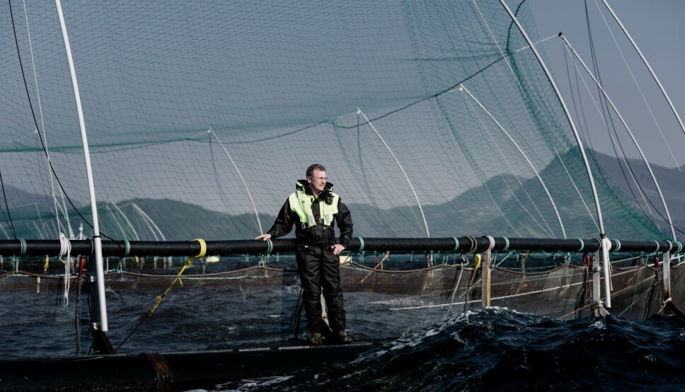 - Vi fremskyndet noe slakting for å utnytte sterke priser i markedet, sier administrerende direktør Andreas Kvame i Grieg Seafood, i en børsmelding. Foto: Tommy Ellingsen