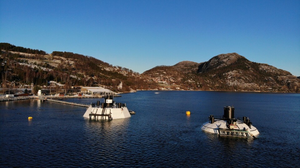 FishGlobene for postsmolt i Rogaland. Foto: FishGlobe. FishGlobene for postsmolt i Rogaland. Foto: FishGlobe.
