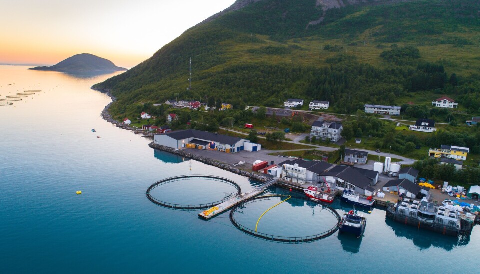 Wilsgård Fiskeoppdrett i Torsken i Senja sett fra oven. Wilsgård Fiskeoppdrett i Torsken i Senja sett fra oven.