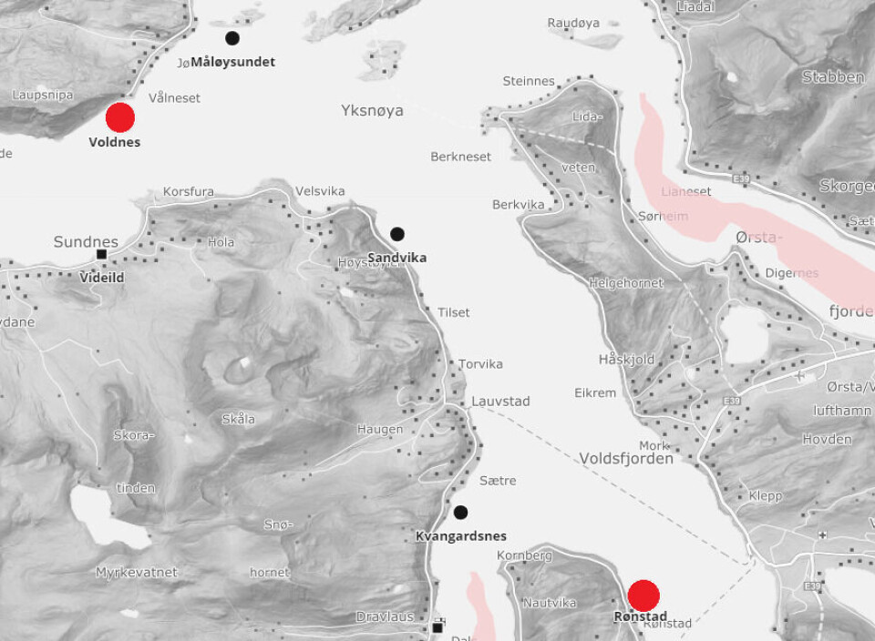 Rømming skjedde på lokaliteter Voldnes og Rønstad på Sunnmøre. Skjermdump: BarentsWatch.