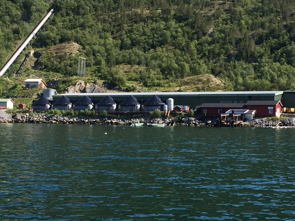 Grytåga Settefisk sitt anlegg ved Mosjøen, ligger flott til ved sjøen. Foto: Grytåga settefisk.
