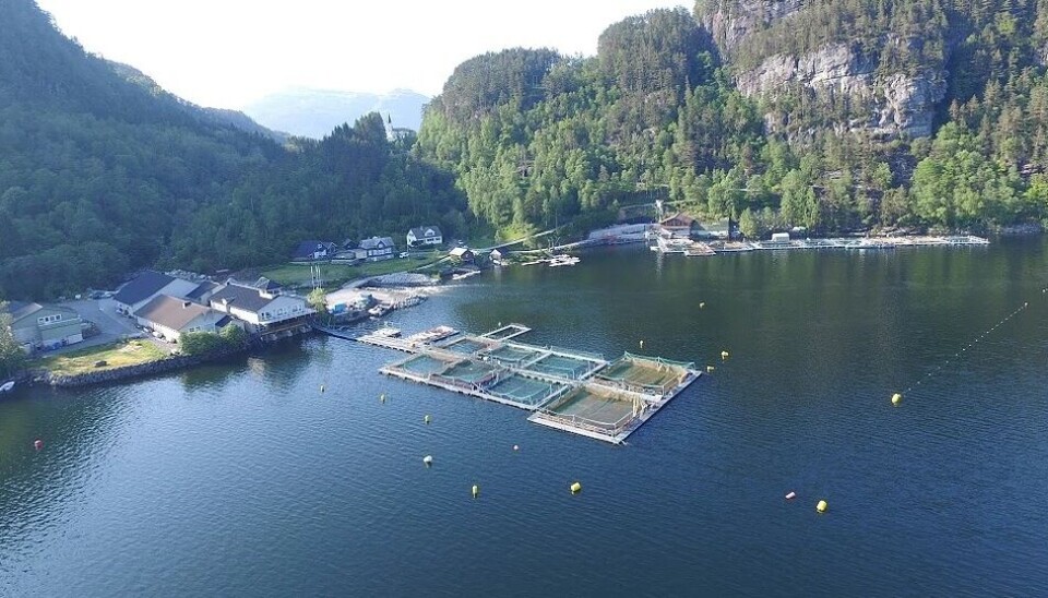 Hjertnes vil ha fast arbeidsplass ved hovedkontoret til Eide Fjordbruk, som ligg idyllisk til på Eidestøa med Skogseidvatnet. Foto: Eide Fjordbruk.