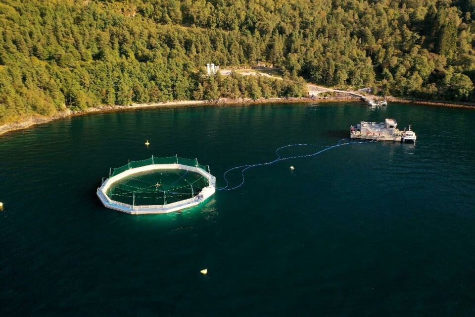 Ecomerden R30 på lokalitet i Sognefjorden hos Osland Havbruk. Foto: Ecomerden Ecomerden R30 på lokalitet i Sognefjorden hos Osland Havbruk. Foto: Ecomerden