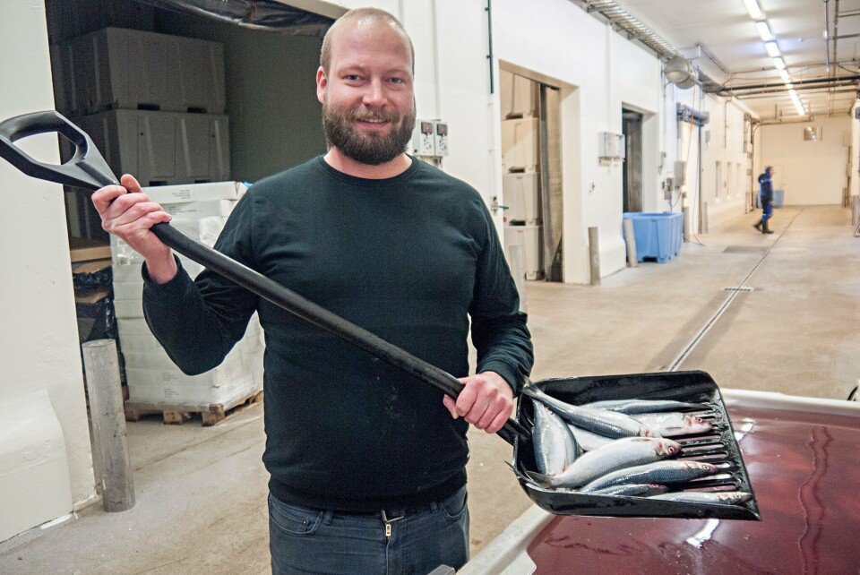 Robert Johansen har lang erfaring i å jobbe med fisk. Nå er han ansatt som toppsjef i eksportselskapet Polar Quality.Foto: Iselin Øverbø.