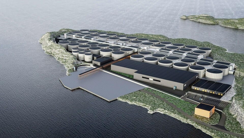 Illustrasjon av Salmon Evolution landanlegg: Artec Aqua / Moldskred.