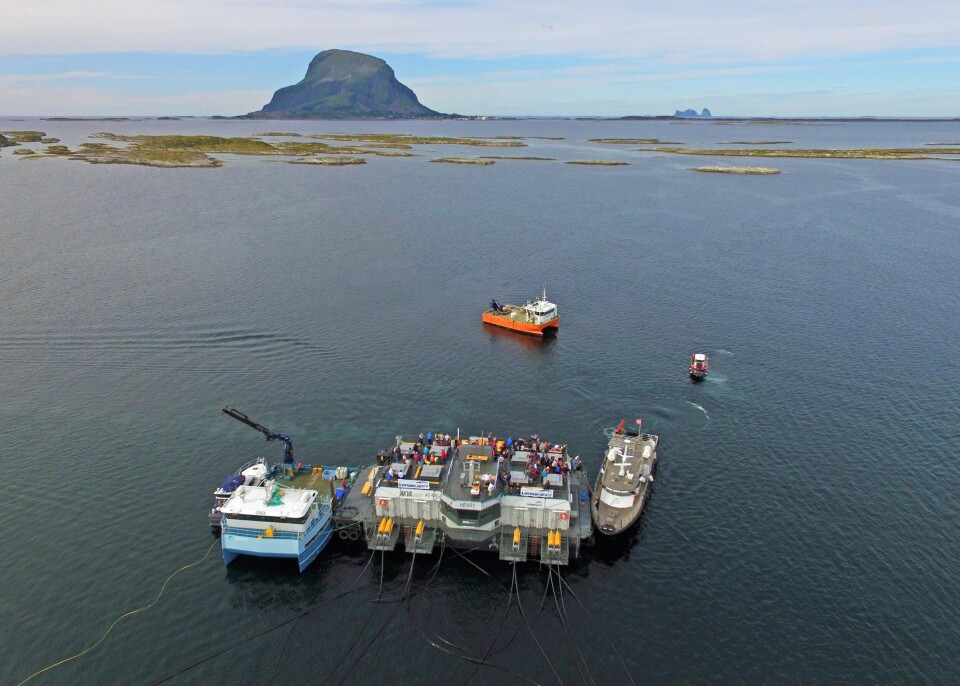 Fantastisk natur på Lovund. Foto: Frode Johansen
