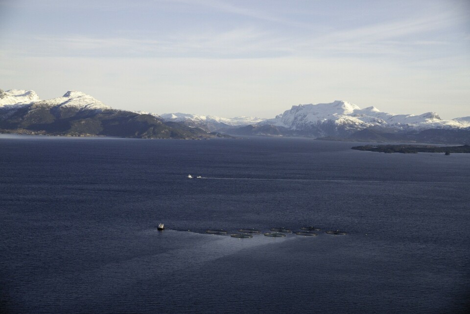 Foto: Svanøy Havbruk.