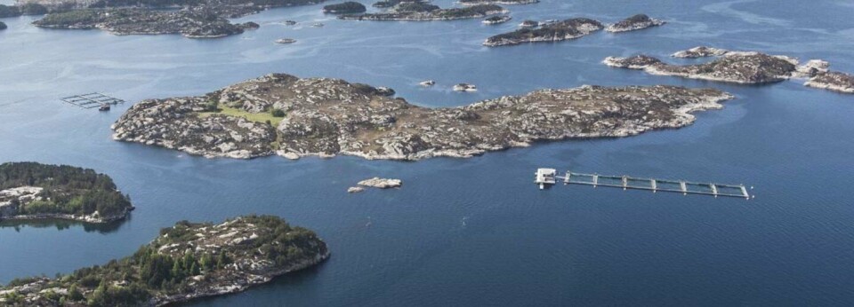 Engesund Fiskeoppdrett har fått ny styreleder. Foto: Engesund Fiskeoppdrett.