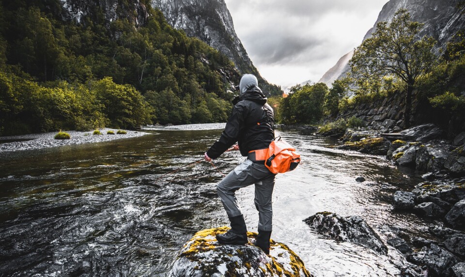 I noen deler av landet tørket fiskesesongen 2021 helt bort. Basert på innsamlede fangsttall, anslår Norske Lakseelver at det ble tatt 85 900 laks av sportsfiskerne i 2021, mot 133 000 for få år siden. Nå vil organisasjonen at produksjonen av oppdrettslaks må omlegges til metoder som ikke slipper ut lakselus og som hindrer rømming. Foto: Hans Kristian Krogh-Hansen. I noen deler av landet tørket fiskesesongen 2021 helt bort. Basert på innsamlede fangsttall, anslår Norske Lakseelver at det ble tatt 85 900 laks av sportsfiskerne i 2021, mot 133 000 for få år siden. Nå vil organisasjonen at produksjonen av oppdrettslaks må omlegges til metoder som ikke slipper ut lakselus og som hindrer rømming. Foto: Hans Kristian Krogh-Hansen.