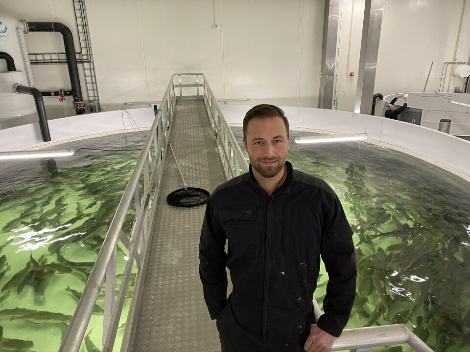 Kristian Sørmo, Fiskehelse- og Cryobanksjef