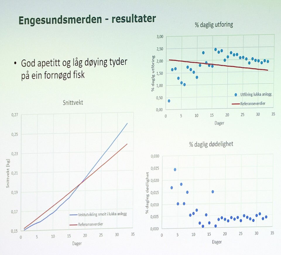 Vekst, utfôring og dødelighet etter 35 dager i Engesundmerden. Kilde: Engesund. Vekst, utfôring og dødelighet etter 35 dager i Engesundmerden. Kilde: Engesund.