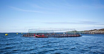 Akvakulturforskning for fremtiden