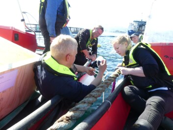 Folden Akva hadde et godt samarbeid med Blue Lice da Norsk Fiskeoppdrett var med ut i felt. Foto: Ole Andreas Drønen