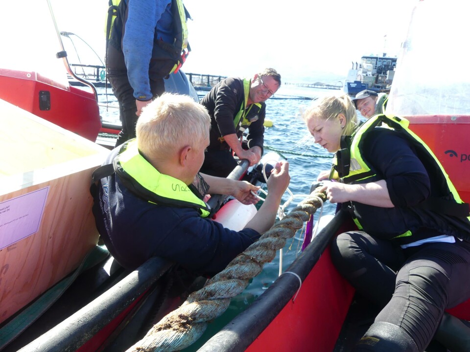 Folden Akva hadde et godt samarbeid med Blue Lice da Norsk Fiskeoppdrett var med ut i felt. Foto: Ole Andreas Drønen