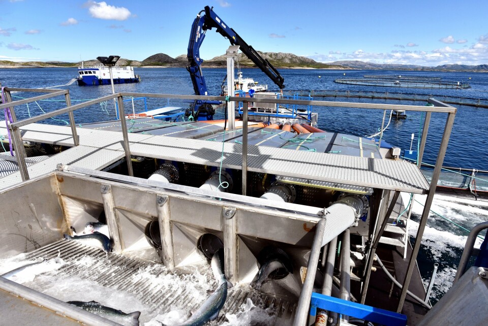 Nå har Skamik-teknologien fått sin hittil største oppgradering. Foto: Moen Marin/Tom Lysø.