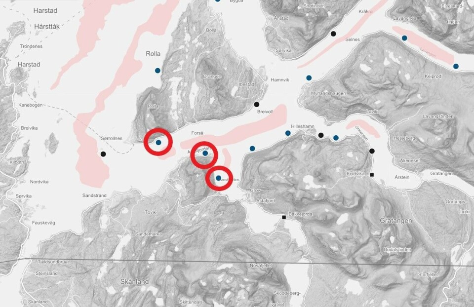 Sørrolnesfisk har tre aktive lokaliteter i Astafjorden i Troms, som de driver i samarbeid med Northen Lights Salmon. Det er de to lokalitetene lengst til høyre (Trollvika og Ystevika) som er rammet. Kilde: BarentsWatch. Sørrolnesfisk har tre aktive lokaliteter i Astafjorden i Troms, som de driver i samarbeid med Northen Lights Salmon. Det er de to lokalitetene lengst til høyre (Trollvika og Ystevika) som er rammet. Kilde: BarentsWatch.