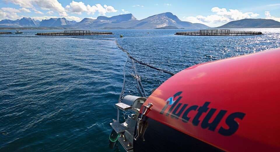 Fôring. Foto: Fluctus