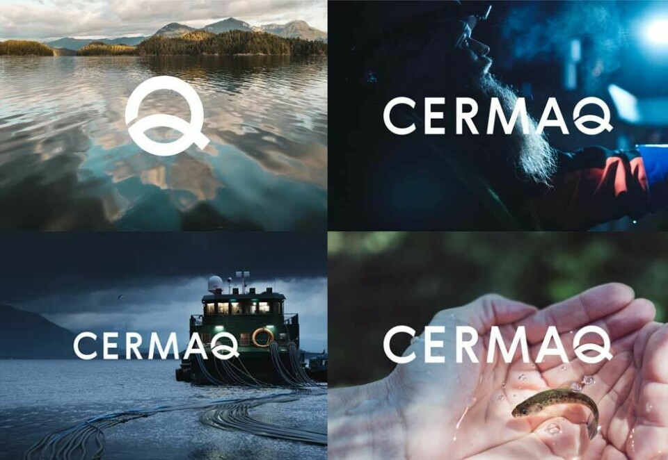 Cermaq lanserte mandag denne uken sin nye logo og merkevare. Illustrasjon: Cermaq