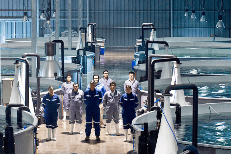 Ved AquaGens stamfiskanlegg Comau i Chile har de produsert landbasert stamfisk siden 2008. Erfaringene fra dette arbeidet blir nå nyttegjort i Norge. Foto: Aquagen.