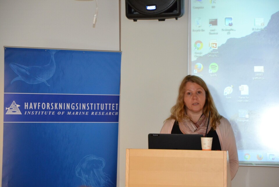 Elisabeth Wilmann under dialogmøte om kunnskapsgrunnlaget for trafikklyssystemet. Foto: Linn Therese Skår Hosteland.