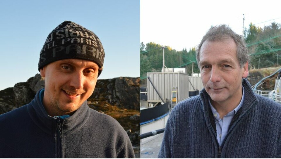Hans Magne Strømme og Einar Hadler Jacobsen i Lumic As har utviklet og lansert en helautomatisk vaksineringsmaksin. Klikk for større bilde. Foto: Anette Elde Thomsen/Kyst.no.