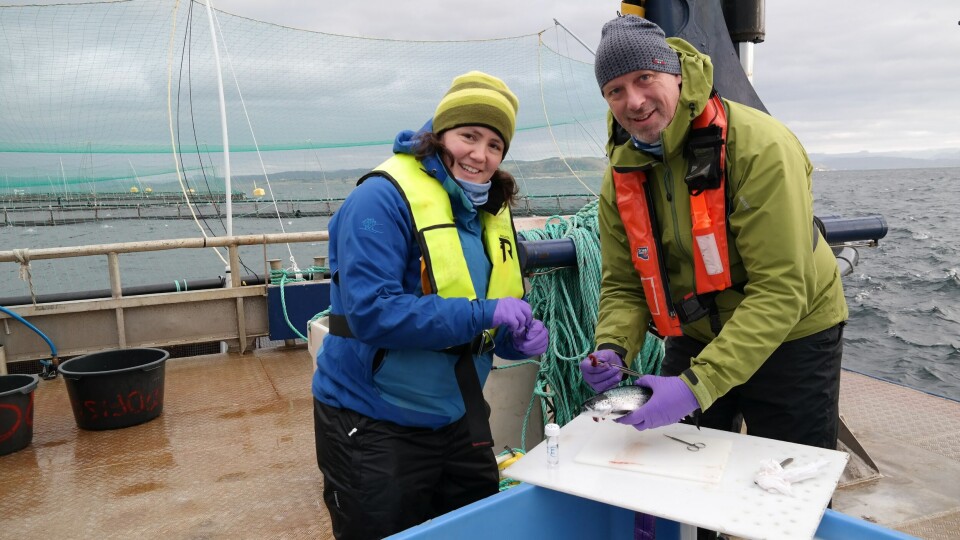 Mari Darrud og Sigurd Hytterød fra Veterinærinstituttet under feltarbeid. Foto: David A Strand, Veterinærinstituttet.