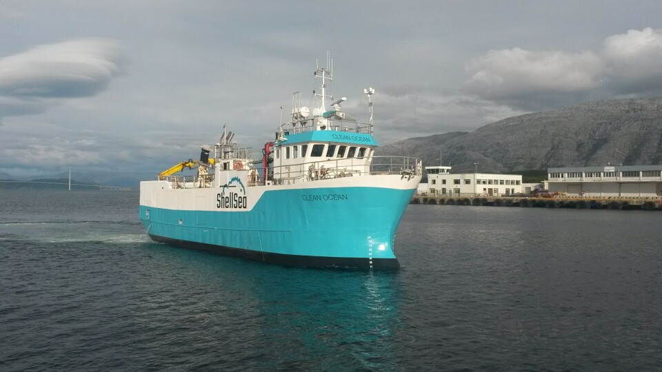 Fartøyet «BB Clean Ocean» sin største og lengste fisketransport så langt var på hele 200 000 rognkjeks over 1000 nautiske mil. Klikk for større bilde. Foto: Henry Thomassen.