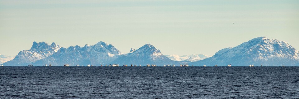 Oen Hatten var med inspeksjonsfartøyet «Rind» i Lofoten tidligere i år, der skreifisket var i full gang. Klikk for større bilde. Foto: Vegard Oen Hatten.
